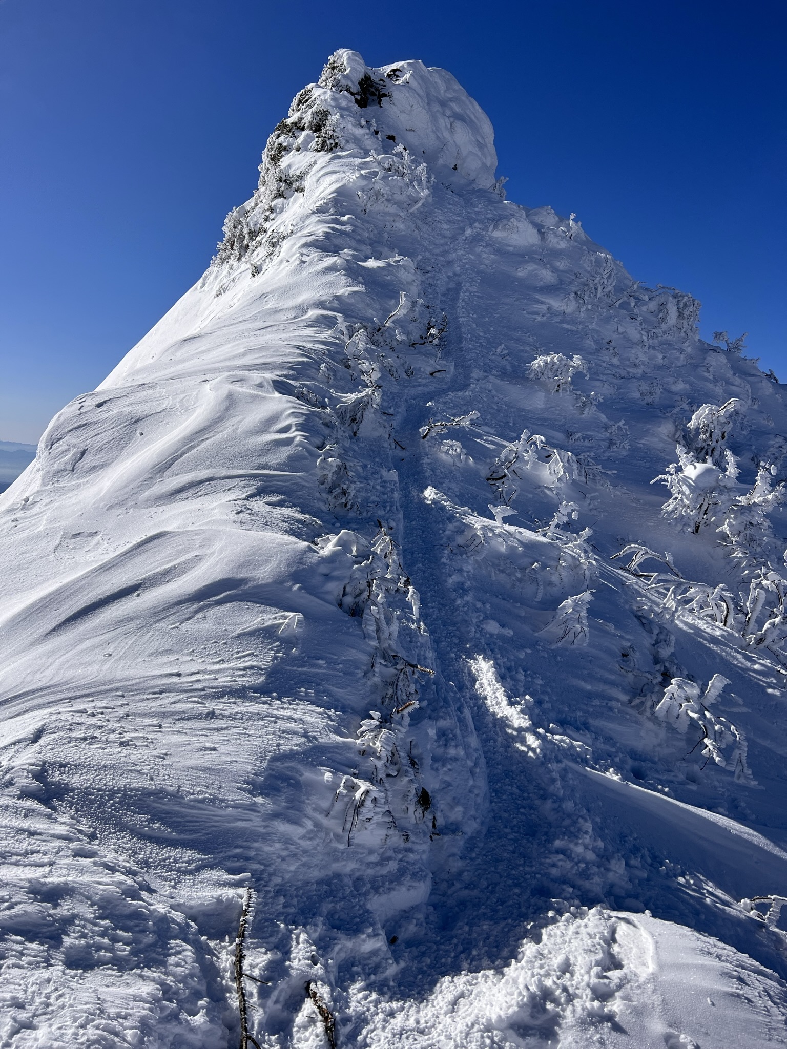 フットワークの軽い山行